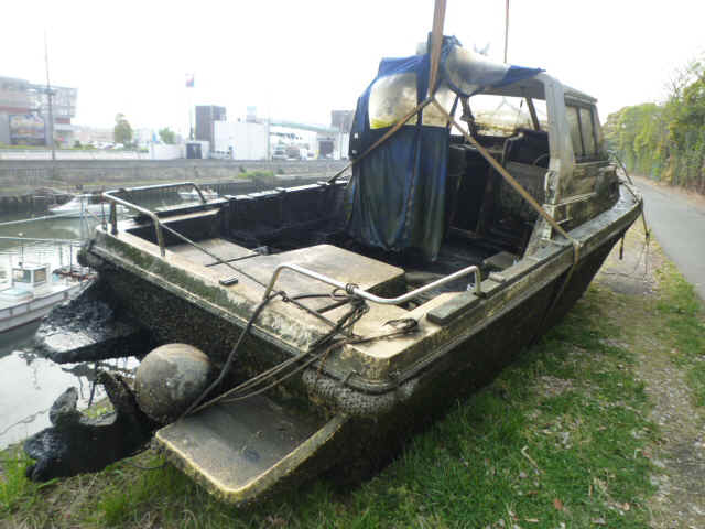 hune4.JPG (183135 Х)